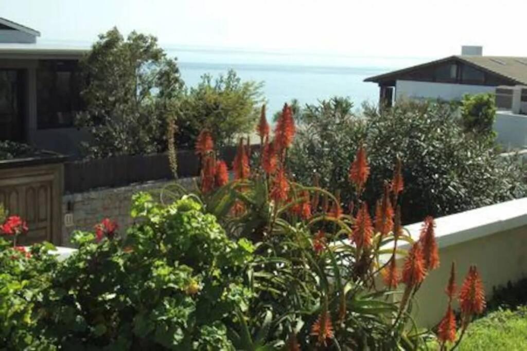 12 On Clifton Daire Cape Town Dış mekan fotoğraf